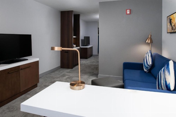 Hilton Garden Inn Baton Rouge Airport image 24
