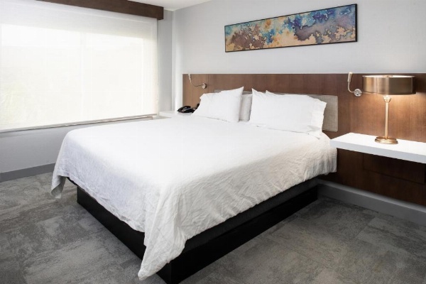 Hilton Garden Inn Baton Rouge Airport image 33