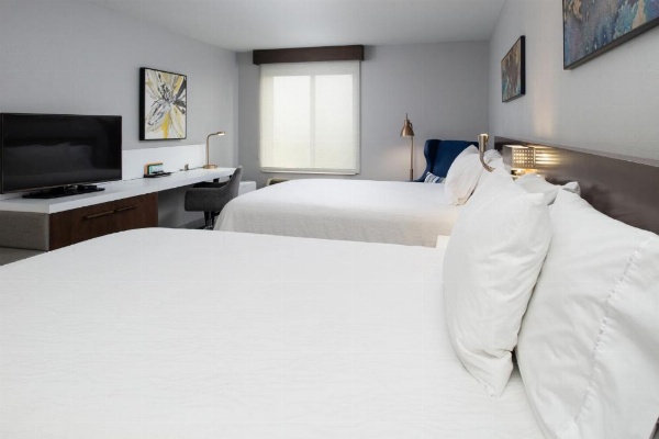 Hilton Garden Inn Baton Rouge Airport image 35