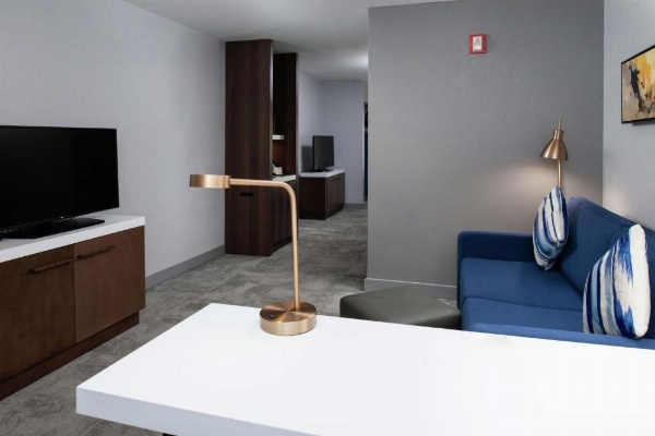 Hilton Garden Inn Baton Rouge Airport image 6
