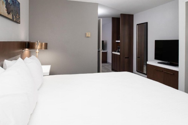 Hilton Garden Inn Baton Rouge Airport image 7